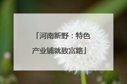 河南新野：特色产业铺就致富路