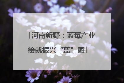 河南新野：蓝莓产业绘就振兴“蓝”图