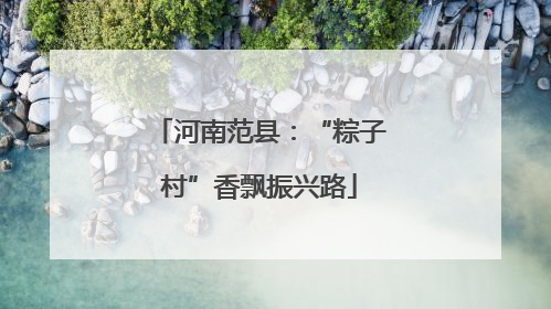 河南范县：“粽子村”香飘振兴路