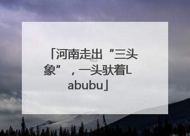河南走出“三头象”，一头驮着Labubu