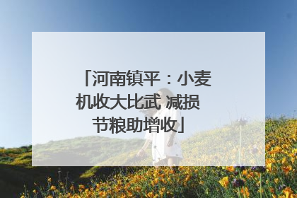 河南镇平：小麦机收大比武 减损节粮助增收