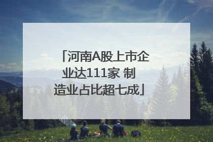 河南A股上市企业达111家 制造业占比超七成