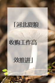 河北夏粮收购工作高效推进