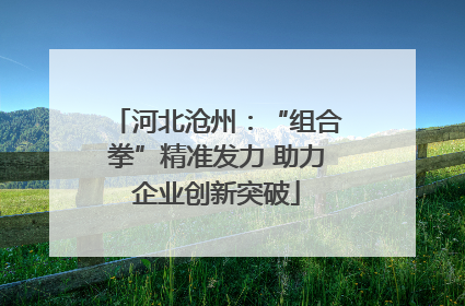 河北沧州：“组合拳”精准发力 助力企业创新突破