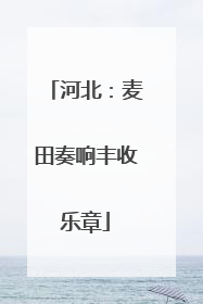河北：麦田奏响丰收乐章
