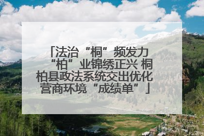 法治“桐”频发力 “柏”业锦绣正兴 桐柏县政法系统交出优化营商环境“成绩单”
