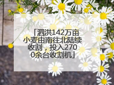 泗洪142万亩小麦由南往北陆续收割，投入2700余台收割机