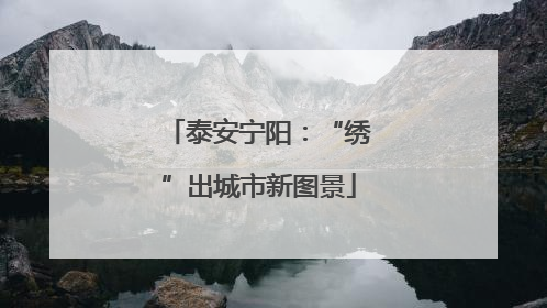 泰安宁阳：“绣”出城市新图景