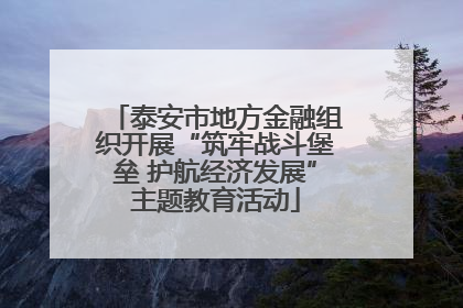 泰安市地方金融组织开展“筑牢战斗堡垒 护航经济发展”主题教育活动