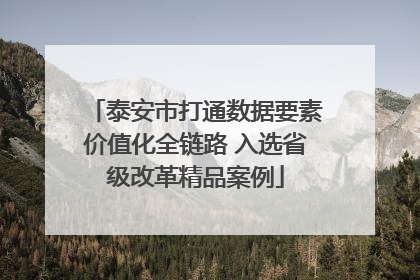 泰安市打通数据要素价值化全链路 入选省级改革精品案例