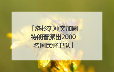 洛杉矶冲突加剧，特朗普派出2000名国民警卫队