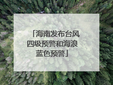 海南发布台风四级预警和海浪蓝色预警