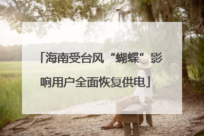 海南受台风“蝴蝶”影响用户全面恢复供电