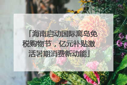 海南启动国际离岛免税购物节，亿元补贴激活暑期消费新动能