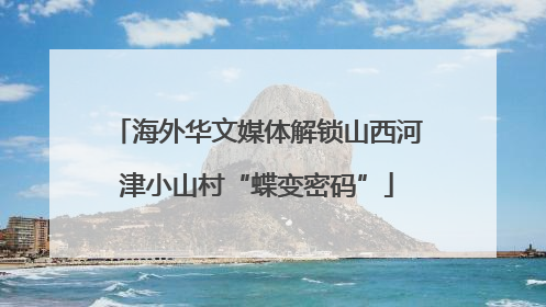 海外华文媒体解锁山西河津小山村“蝶变密码”