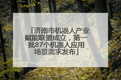 济南市机器人产业赋能联盟成立，第一批87个机器人应用场景需求发布