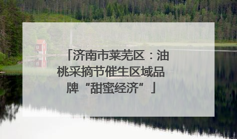 济南市莱芜区：油桃采摘节催生区域品牌“甜蜜经济”