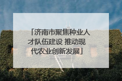 济南市聚焦种业人才队伍建设 推动现代农业创新发展