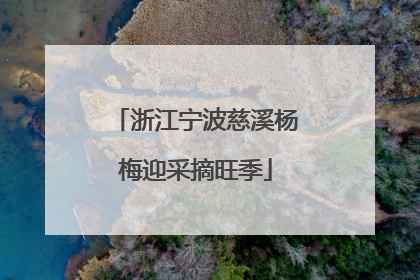 浙江宁波慈溪杨梅迎采摘旺季