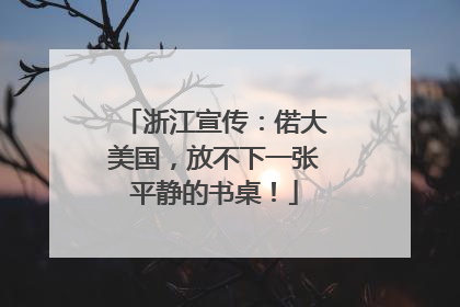 浙江宣传：偌大美国，放不下一张平静的书桌！