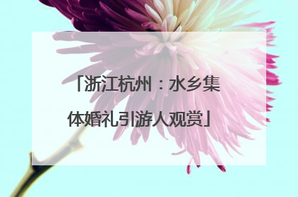 浙江杭州：水乡集体婚礼引游人观赏