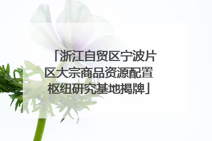 浙江自贸区宁波片区大宗商品资源配置枢纽研究基地揭牌
