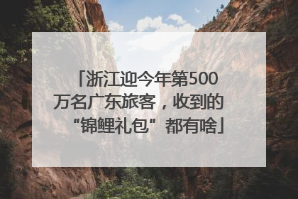 浙江迎今年第500万名广东旅客，收到的“锦鲤礼包”都有啥