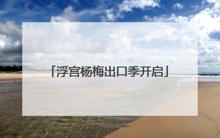 浮宫杨梅出口季开启