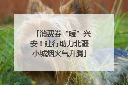 消费券“暖”兴安！建行助力北疆小城烟火气升腾