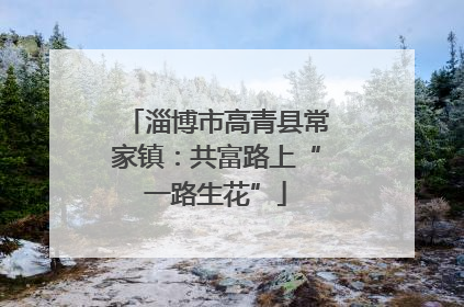 淄博市高青县常家镇：共富路上“一路生花”
