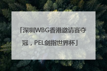 深圳WBG香港邀请赛夺冠，PEL剑指世界杯