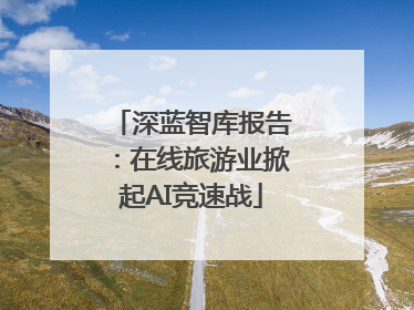 深蓝智库报告：在线旅游业掀起AI竞速战