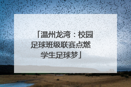 温州龙湾：校园足球班级联赛点燃学生足球梦