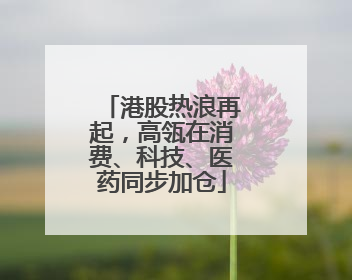港股热浪再起，高瓴在消费、科技、医药同步加仓