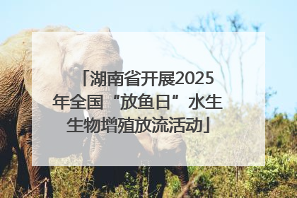 湖南省开展2025年全国“放鱼日”水生生物增殖放流活动