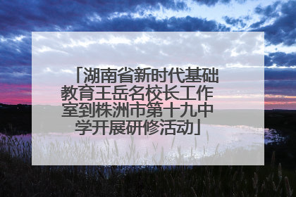 湖南省新时代基础教育王岳名校长工作室到株洲市第十九中学开展研修活动