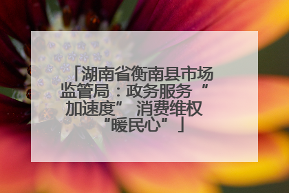 湖南省衡南县市场监管局：政务服务“加速度” 消费维权“暖民心”