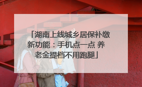 湖南上线城乡居保补缴新功能：手机点一点 养老金提档不用跑腿