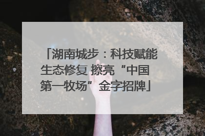 湖南城步：科技赋能生态修复 擦亮“中国第一牧场”金字招牌