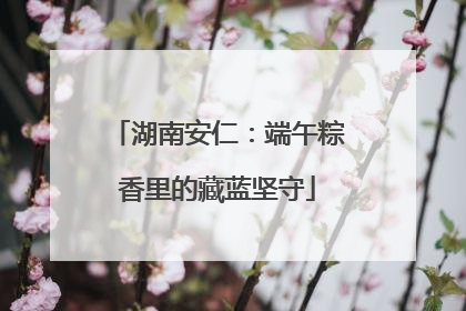 湖南安仁：端午粽香里的藏蓝坚守