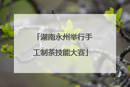 湖南永州举行手工制茶技能大赛