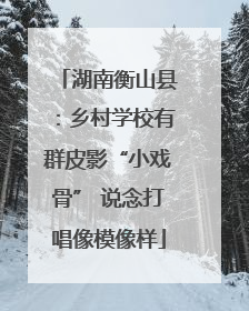 湖南衡山县：乡村学校有群皮影“小戏骨” 说念打唱像模像样