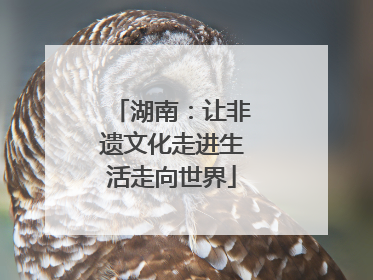 湖南：让非遗文化走进生活走向世界