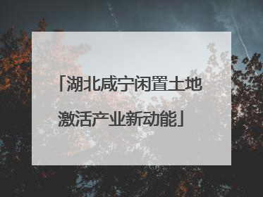 湖北咸宁闲置土地激活产业新动能