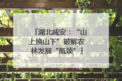 湖北咸安：“山上换山下”破解农林发展“瓶颈”