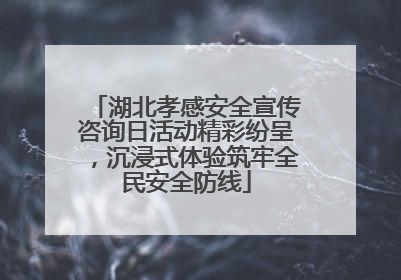 湖北孝感安全宣传咨询日活动精彩纷呈，沉浸式体验筑牢全民安全防线