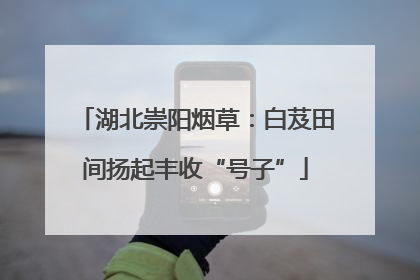 湖北崇阳烟草：白芨田间扬起丰收“号子”