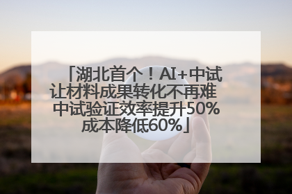 湖北首个！AI+中试让材料成果转化不再难 中试验证效率提升50%成本降低60%
