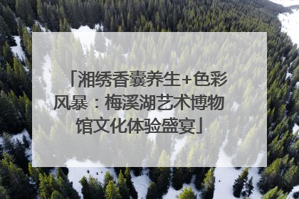 湘绣香囊养生+色彩风暴：梅溪湖艺术博物馆文化体验盛宴