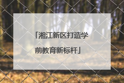 湘江新区打造学前教育新标杆